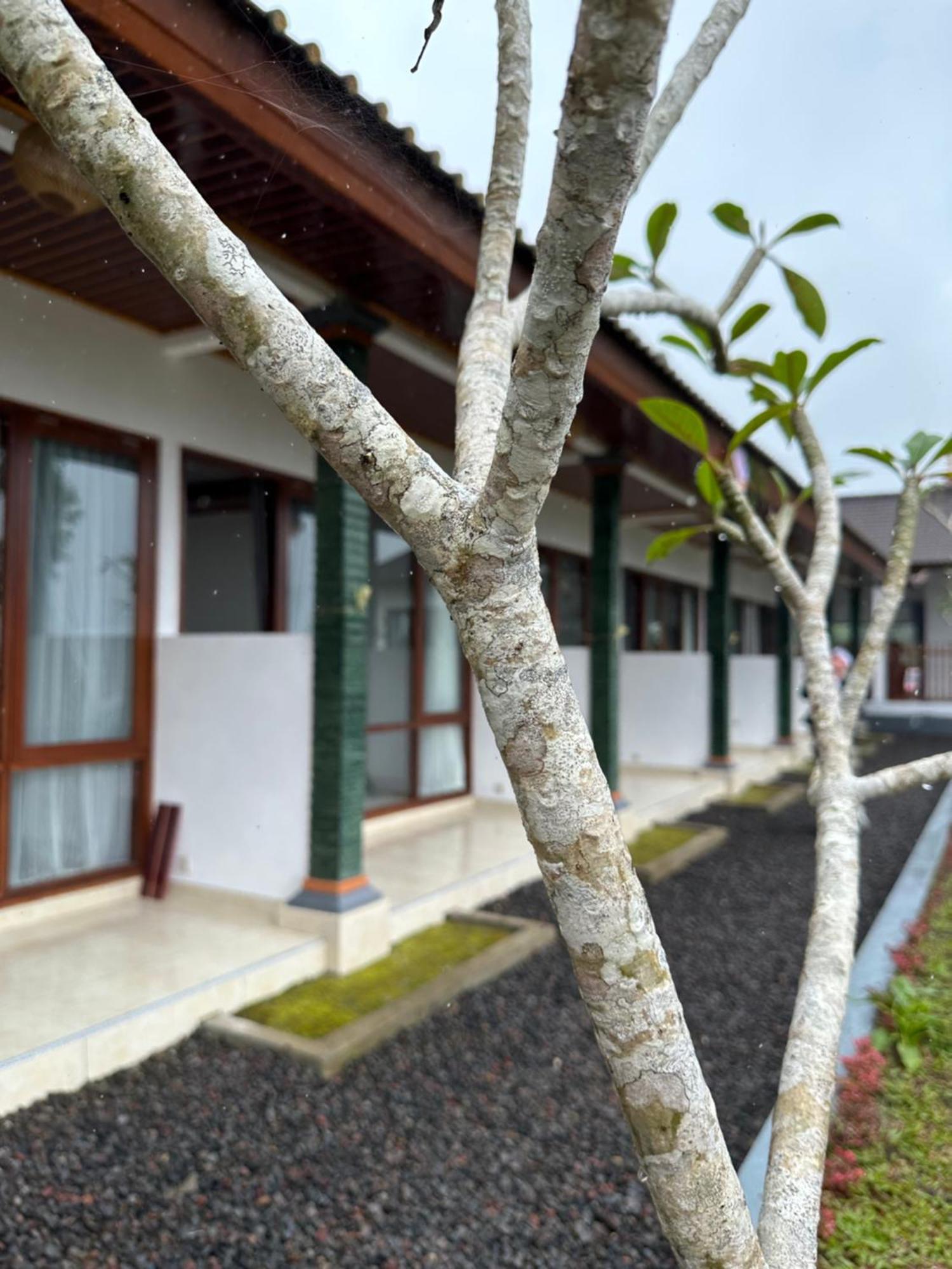Bali Basuki Retreat Center Lejlighed Besakih Eksteriør billede